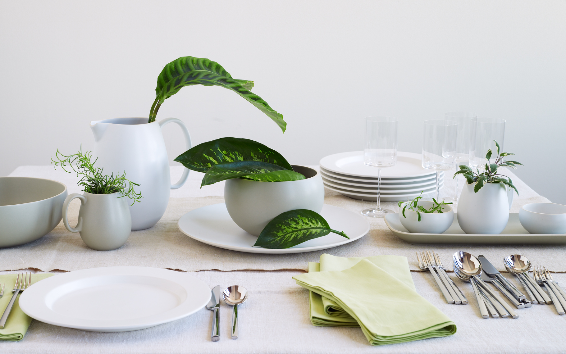 White table scape with house plants Still-life by Alison Gootee Photography