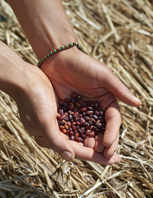 Black Farmer hands holding seeds by Alison Gootee Photography