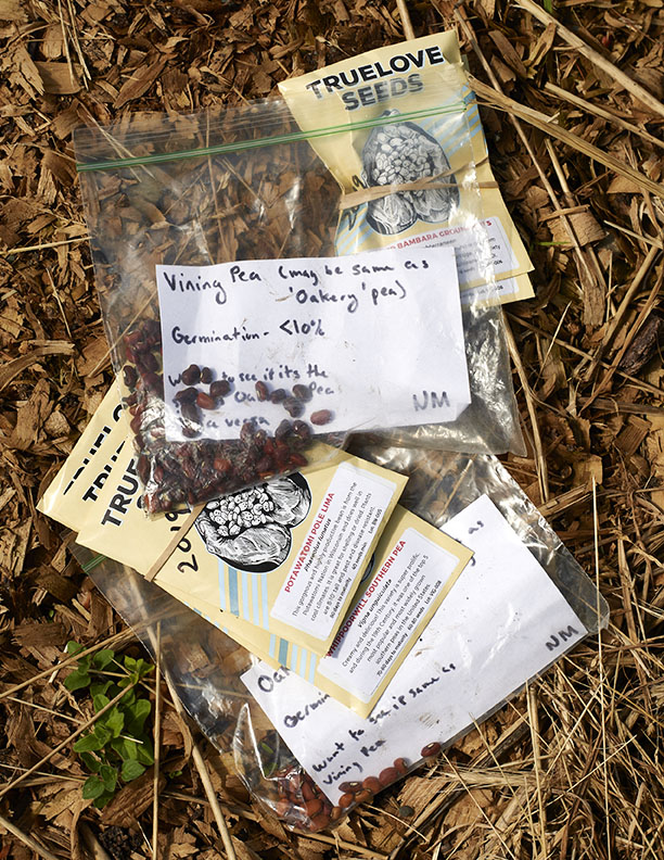 Seed packs harevested by Black Farmers by Alison Gootee Photography