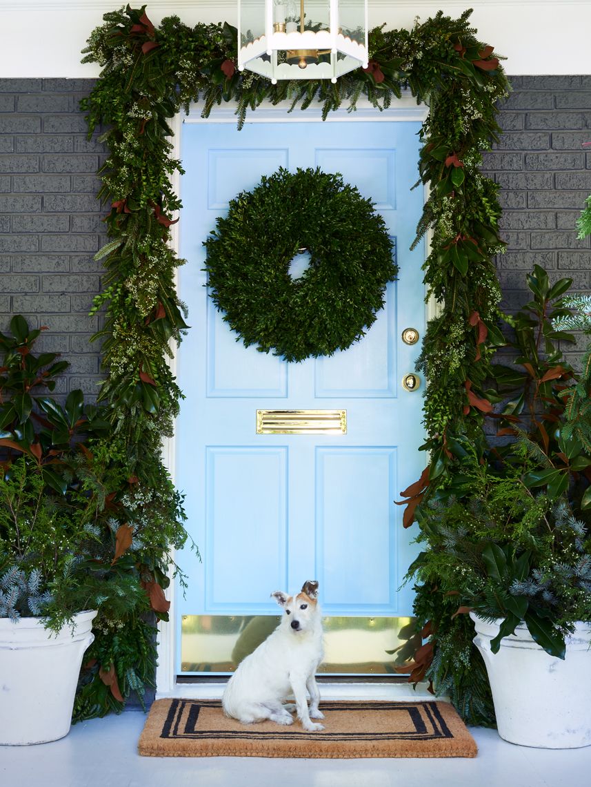 Small dog in front of blue door with Christmas wreath in Southern Living Magazine by Alison Gootee Photography
