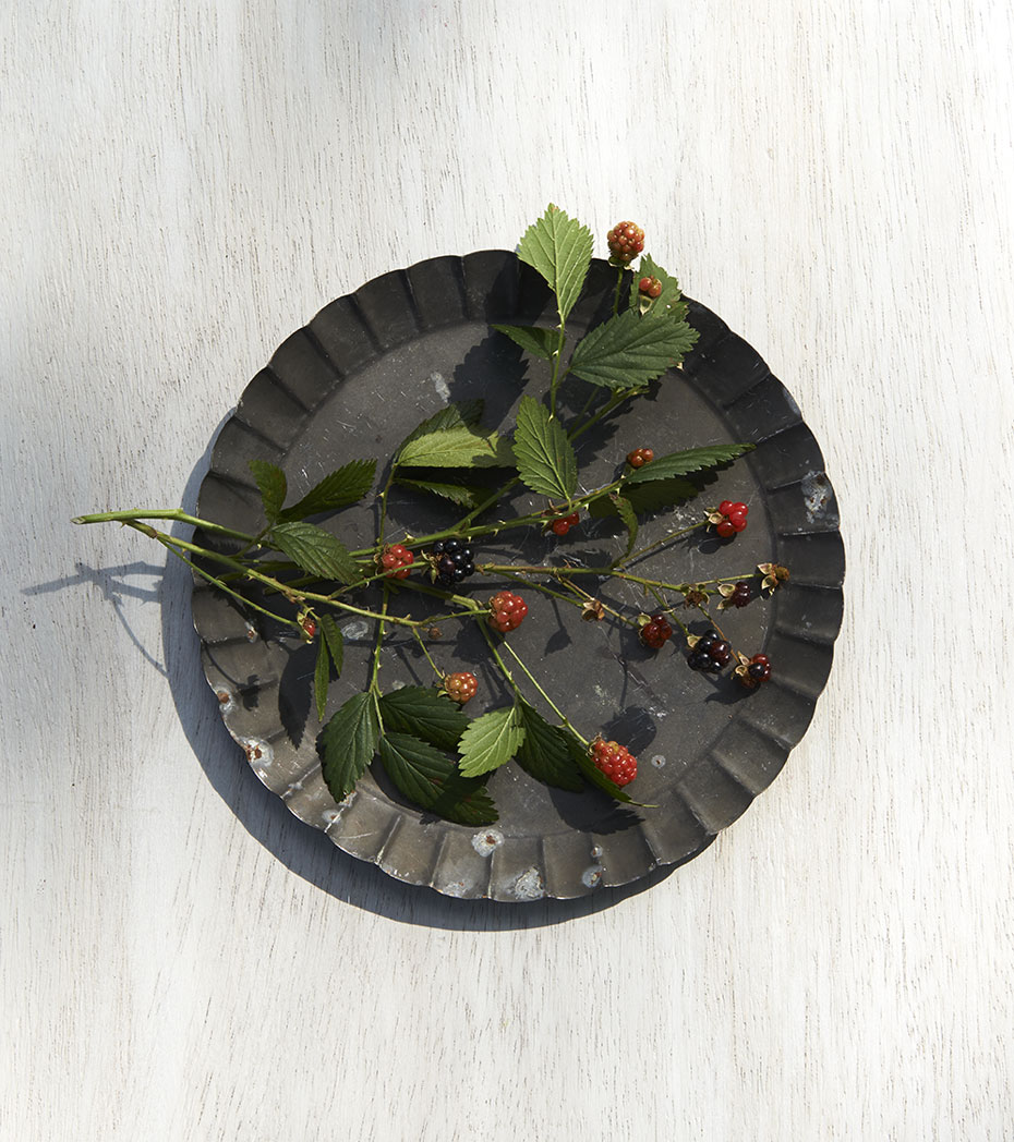 Freshly picked blackberries on tart pan in sunshine Still-life by Alison Gootee Photography