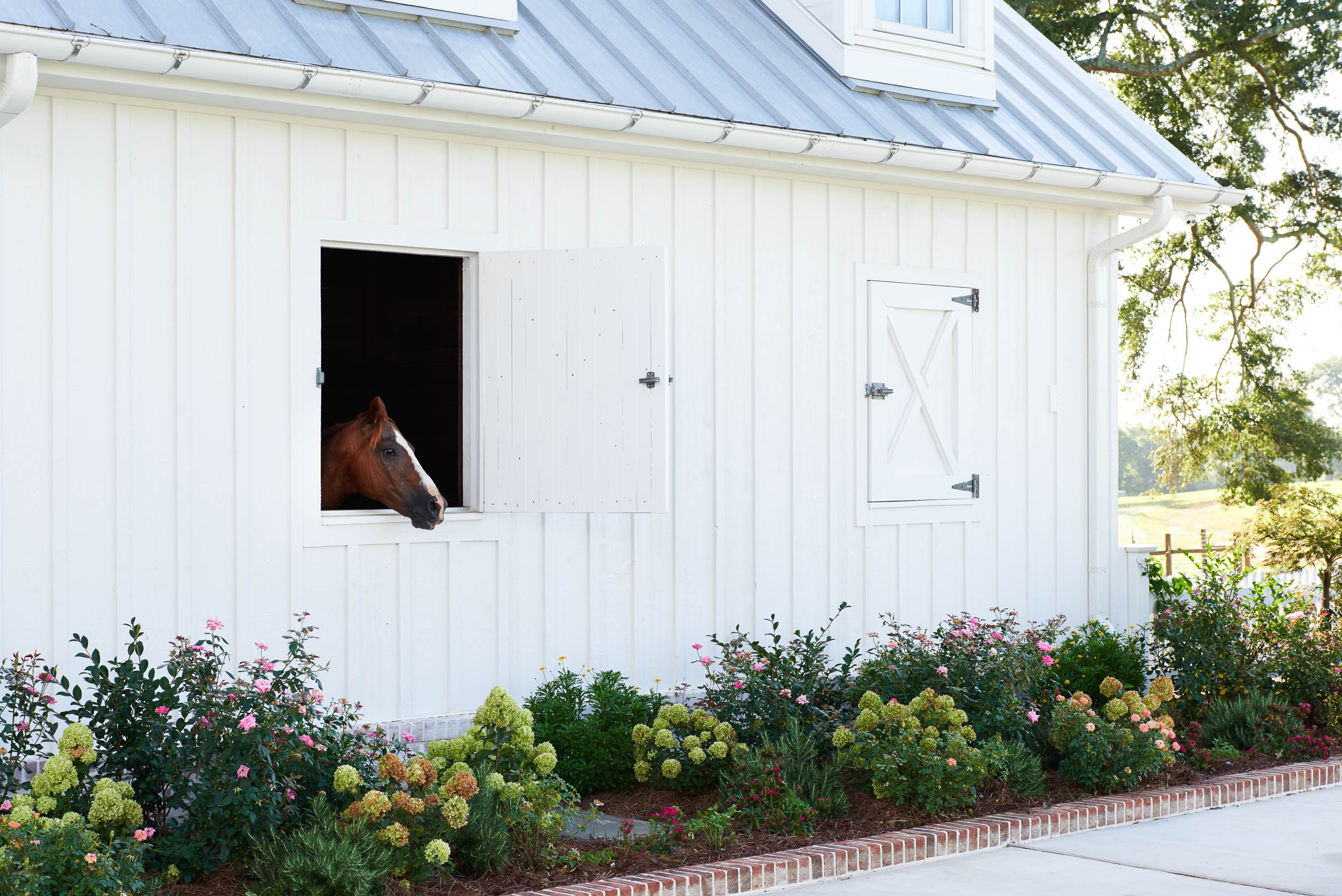 Dothan horse in stable window in Southern Living Magazine by Alison Gootee Photography
