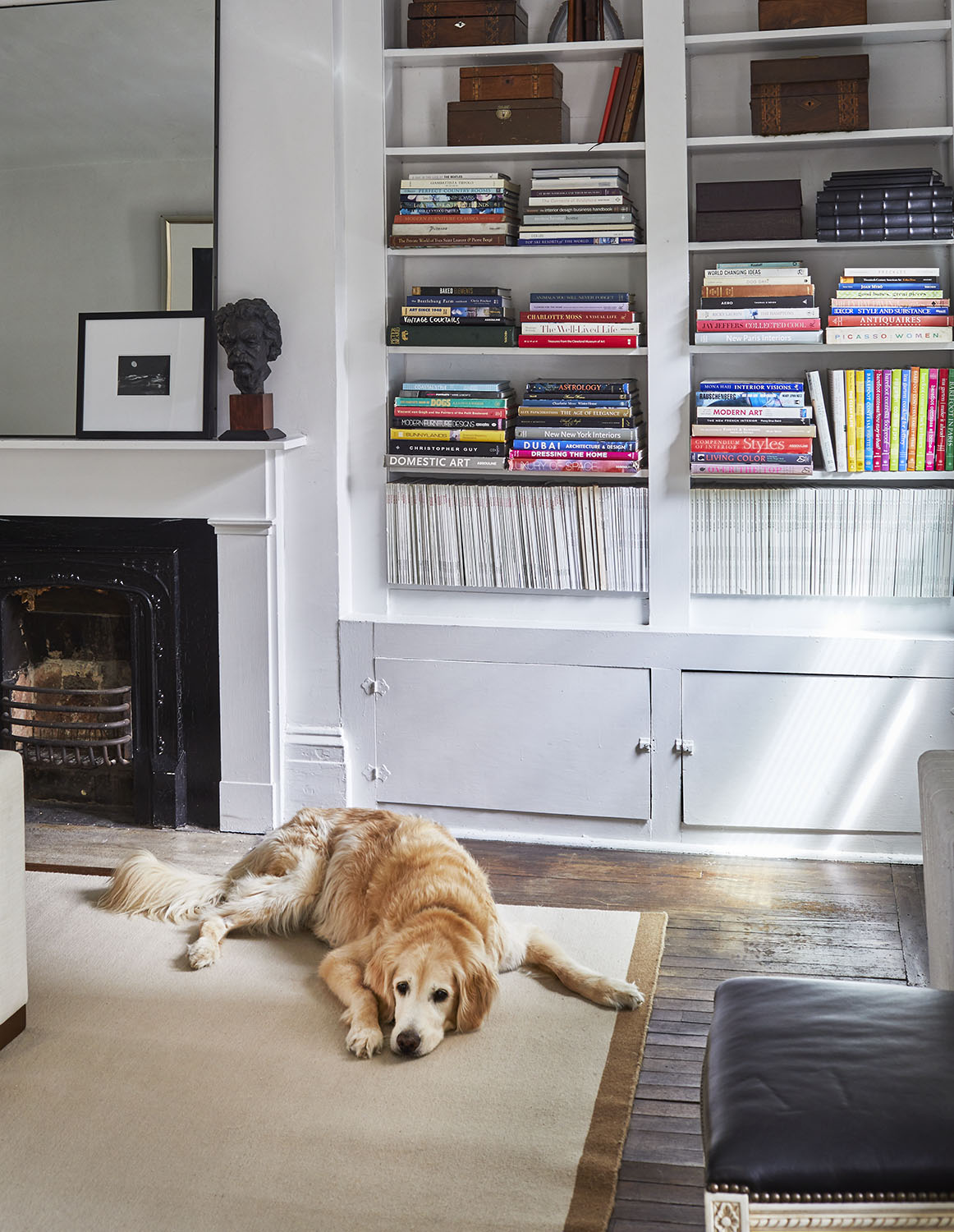 Dog with bookcases for House Beautiful Magazine by Alison Gootee Photography 