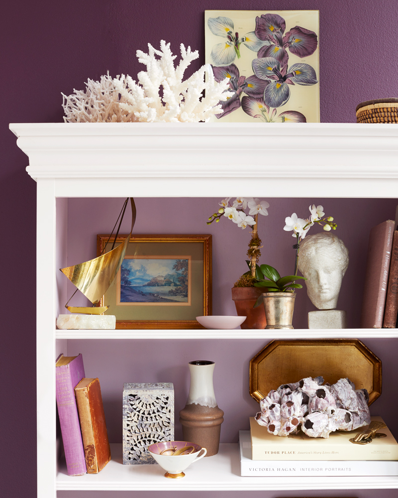 Lavender pink painted shelves coral decor Still-life by Alison Gootee Photography
