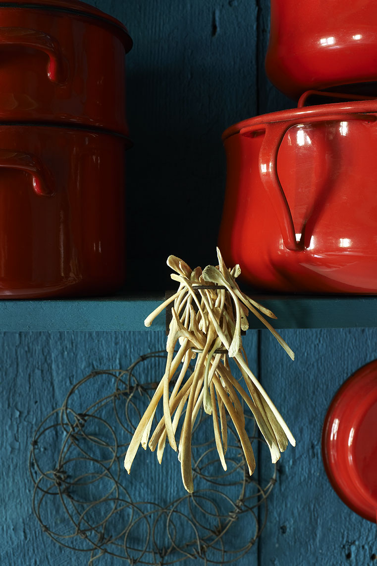 close up of dried chicken wishbones on blue shelf Still-life by Alison Gootee Photography