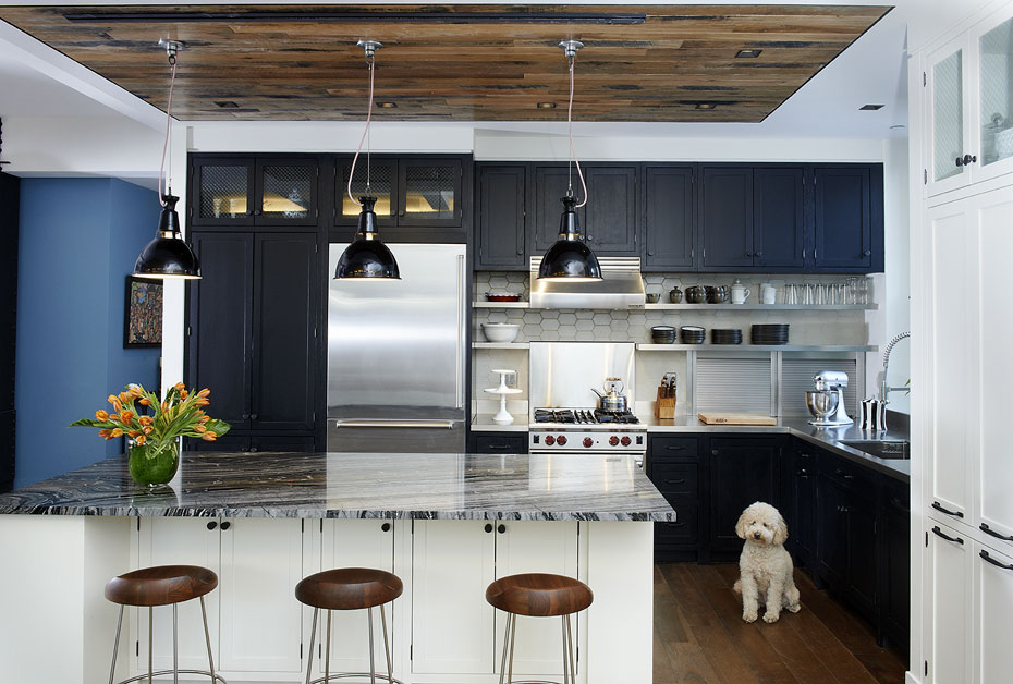 Industrail kitchen island with dog by AMMOR Architecture by Alison Gootee Photography