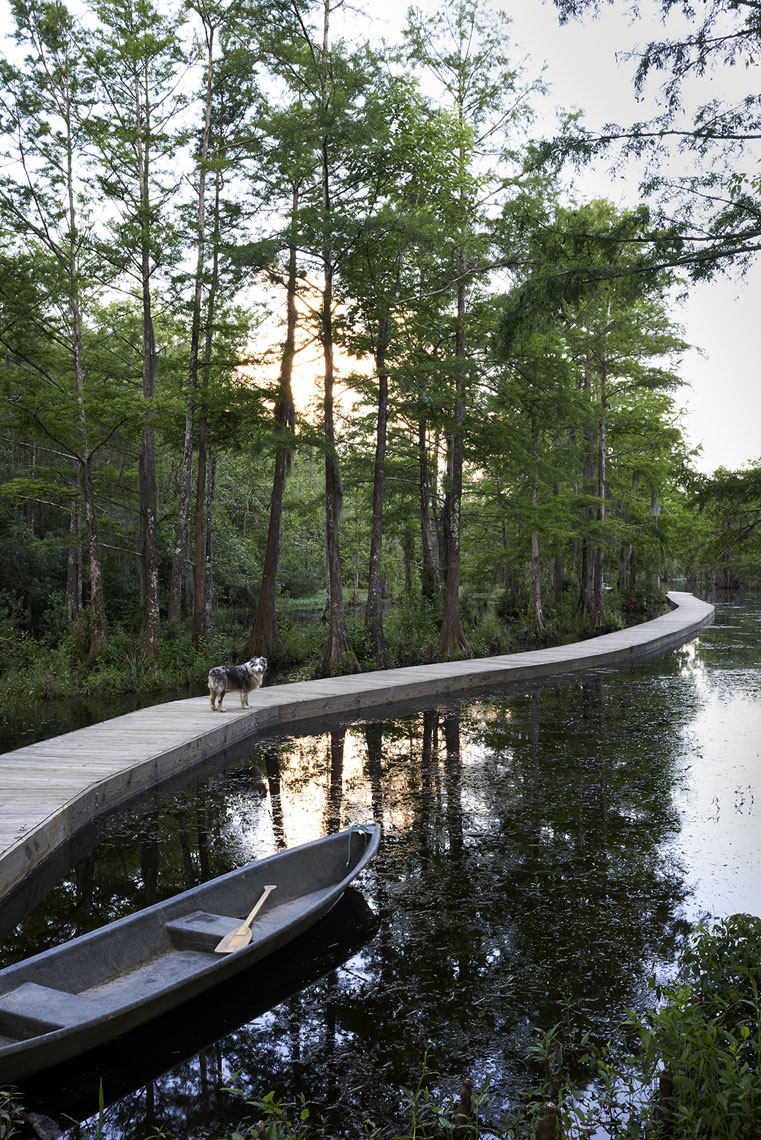 Swamp boardwalk with dog at Talisheek Pearl River Camp by Melissa Rufty  in Garden and Gun Magazine by Alison Gootee photography