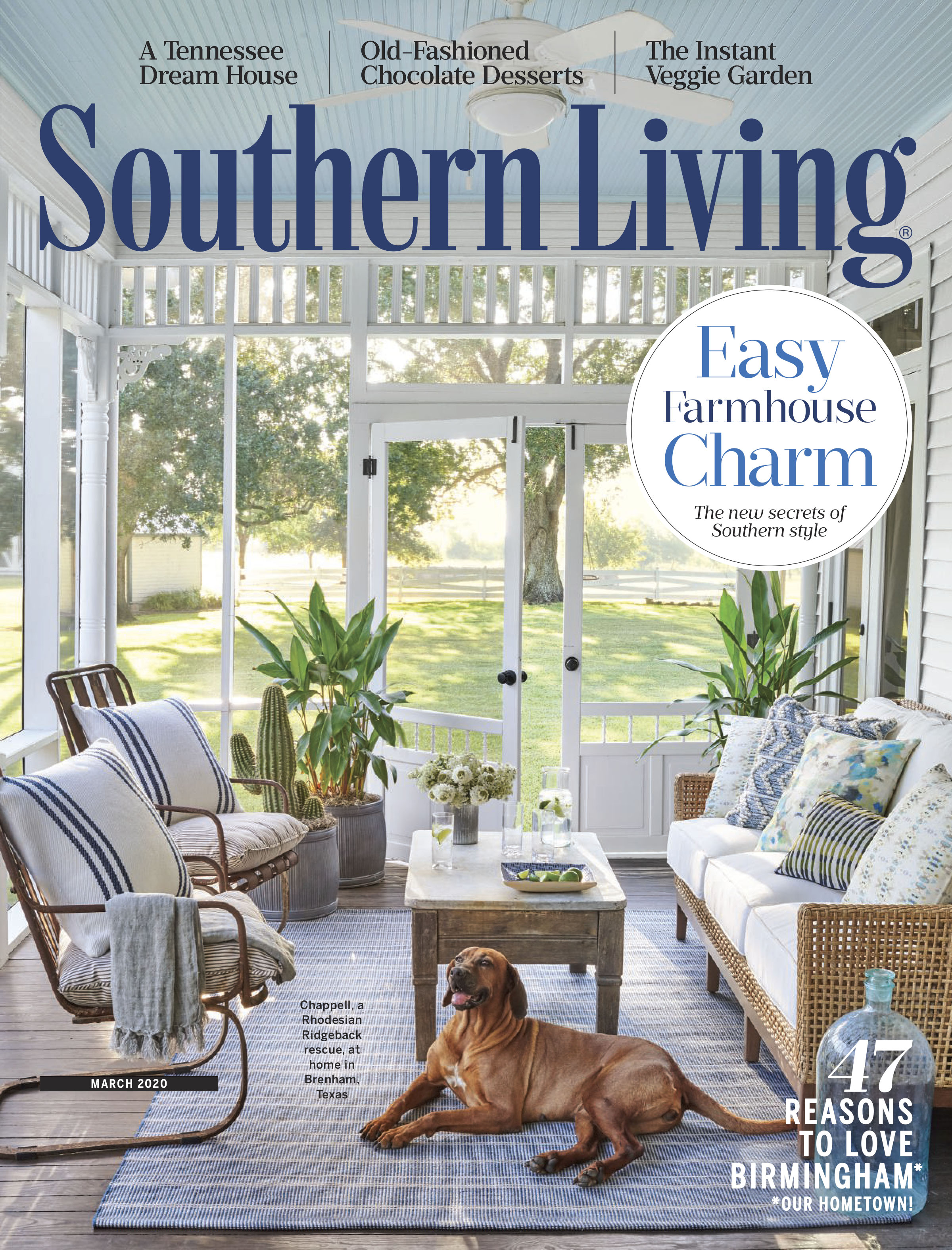 Dog resting in screen porch Marie Flanigan Interiors in Southern Living Magazine in Brenham Texas by Alison Gootee Photography