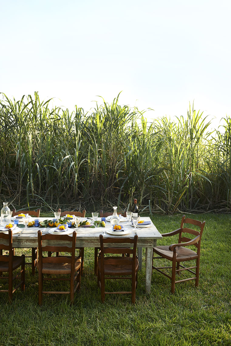 Dining al fresco in sugarcane field in Louisiana is food photography by Alison Gootee Photography