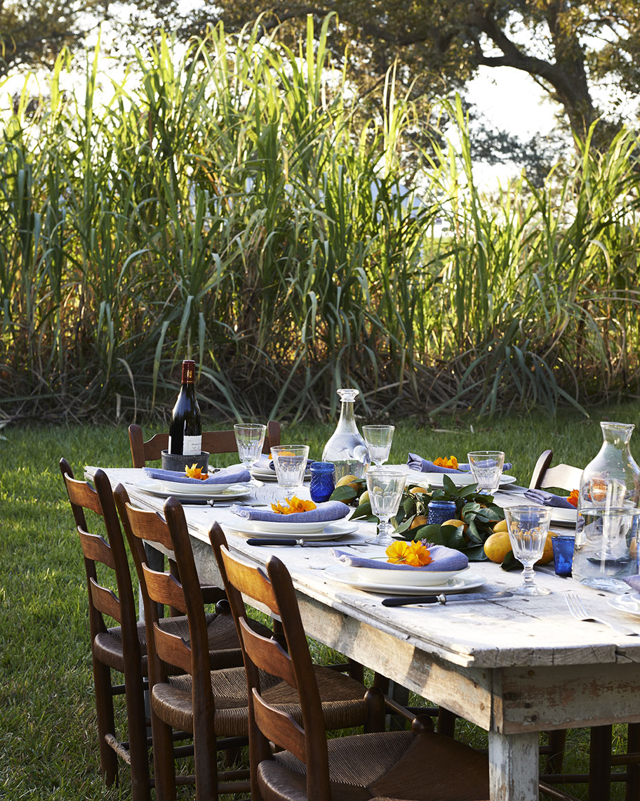 Tablescape of dining al fresco in sugar cane field is food photography by Alison Gootee Photography